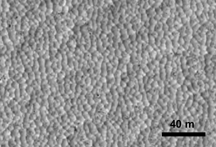 Reticulated dust